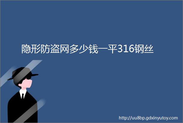 隐形防盗网多少钱一平316钢丝